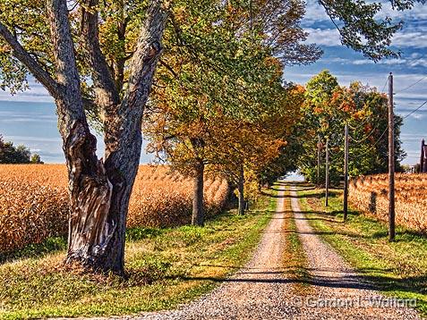 GORDON WOLFORD PHOTOGRAPHY Ontario Eastern Ontario Landscapes of